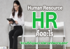 human-resource-(-hr-)-คืออะไร-ความสำคัญของ-การจัดการทรัพยากรบุคคล